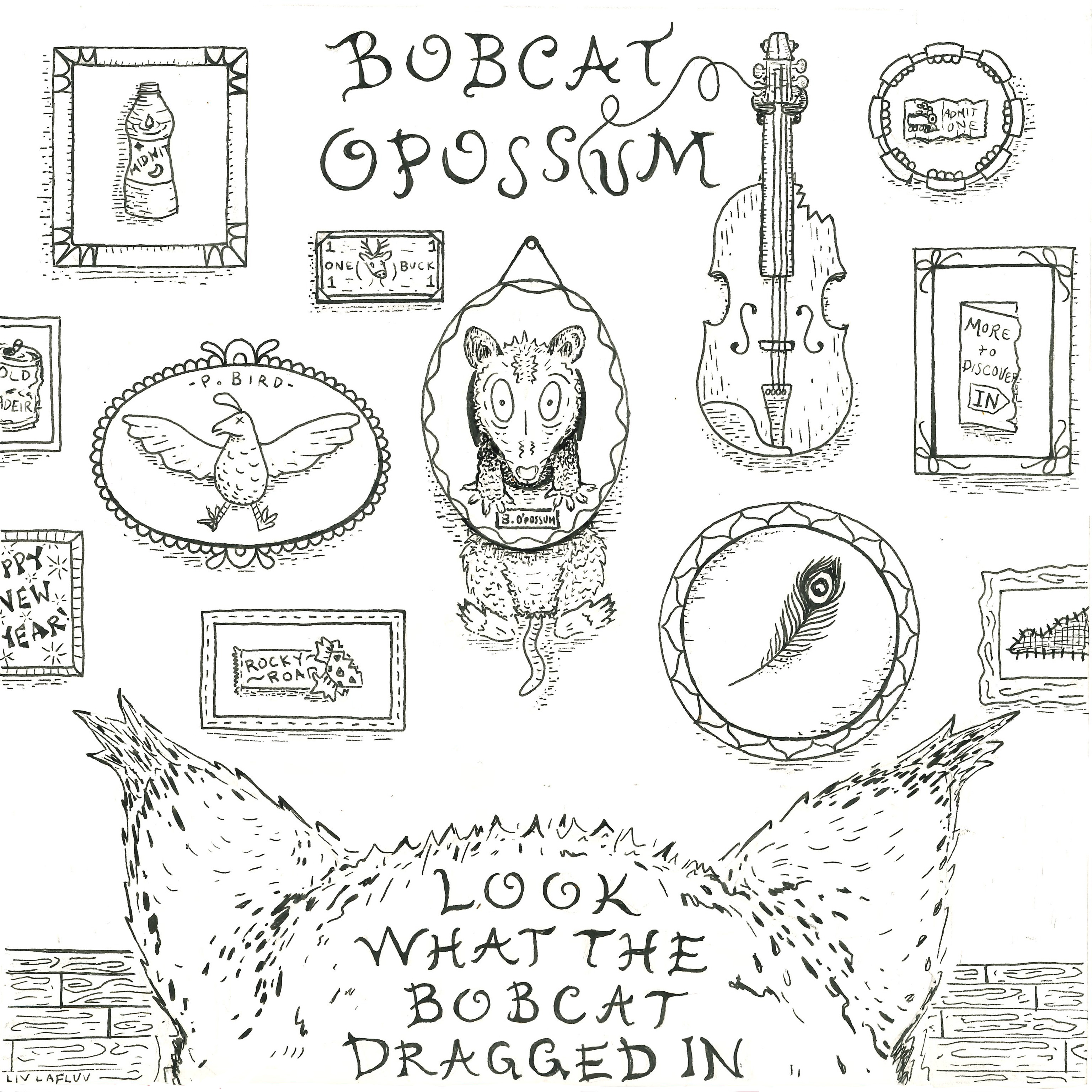 epk-bobcat-opossum